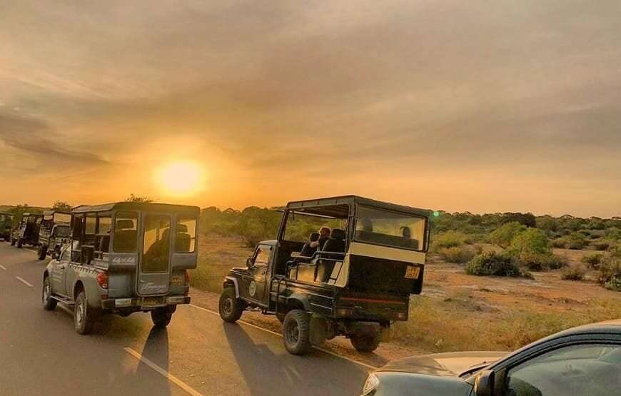Full Day Safari Tour -Yala