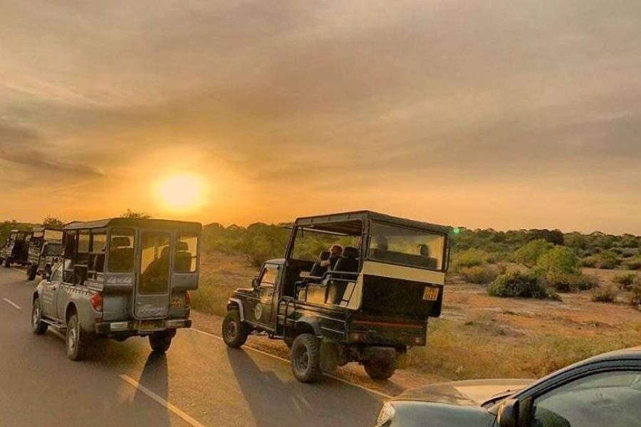Full Day Safari Tour -Yala