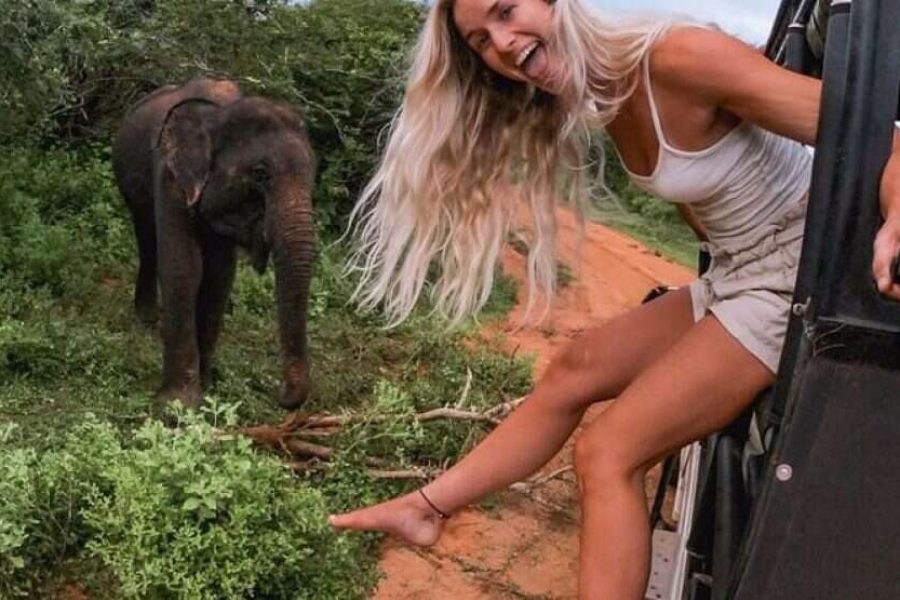 7 Hours Safari Tours – Yala National Park