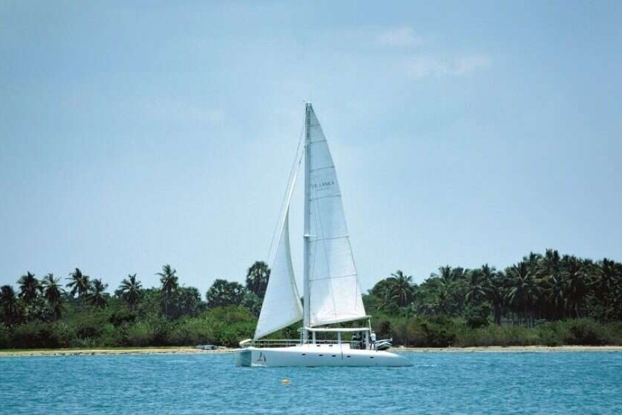 3 NIGHTS BEST OF THE SOUTH CRUISE