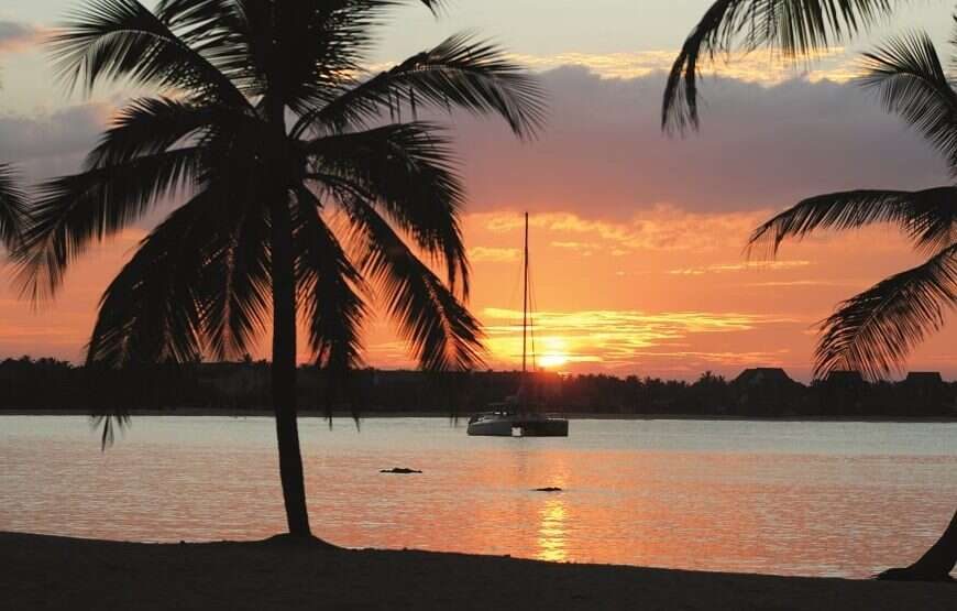 2 NIGHTS WELIGAMA WHALE CRUISE