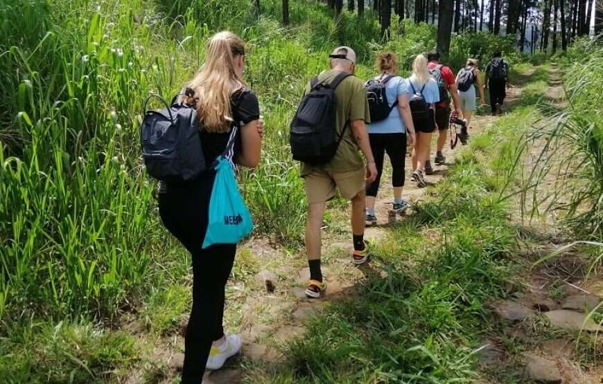 Day Hiking Tour in Hanthana Mountains Range