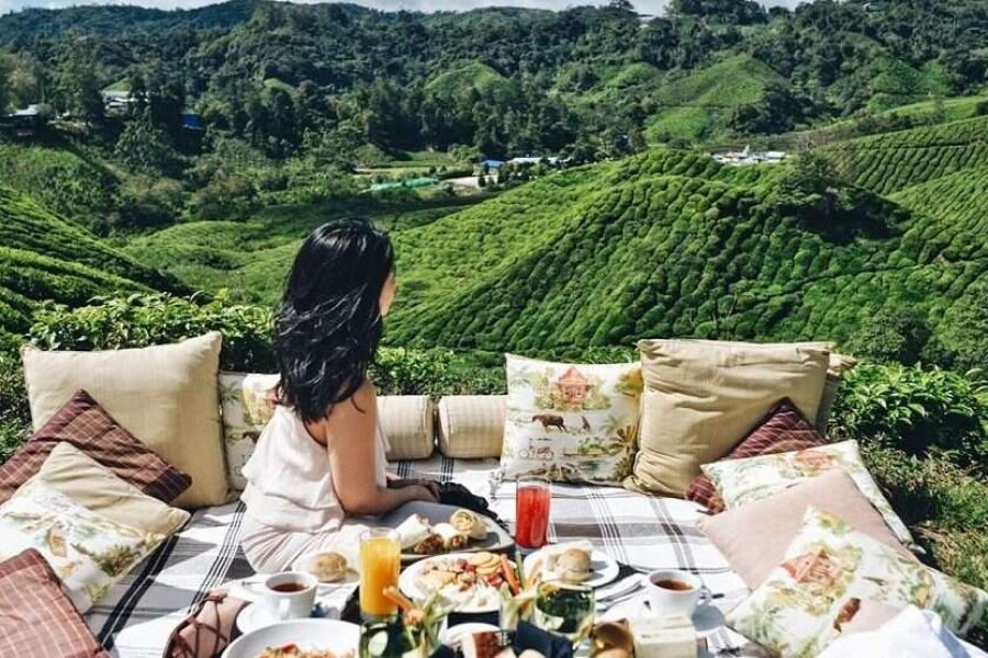 Greenwood Tea Factory Tour