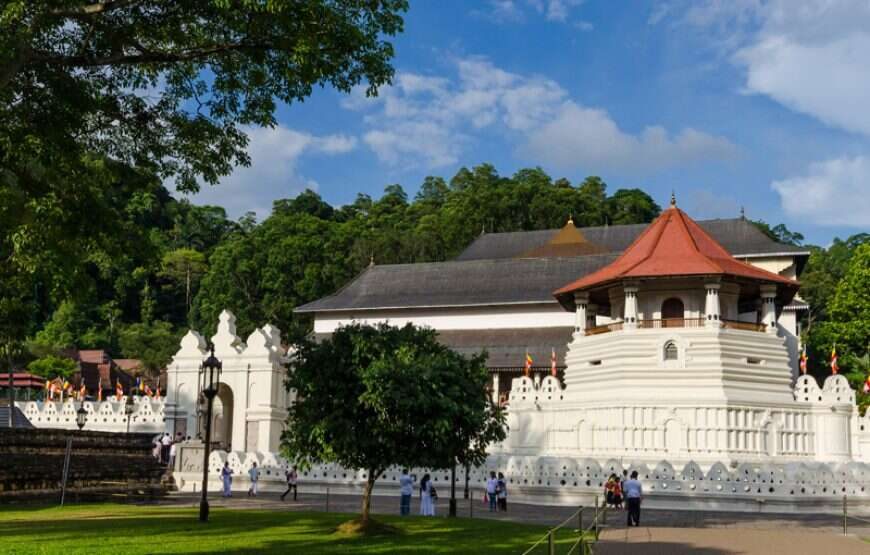 Kandy Day Tour