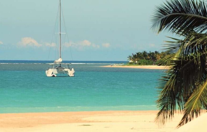 1 NIGHT ESSENTIAL SOUTH