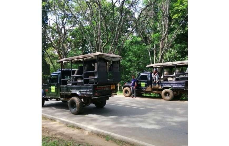 Jaan Safari