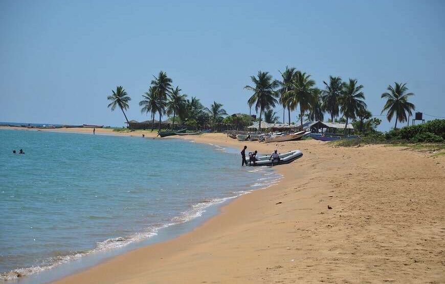 6 NIGHTS SOUTHERN COAST NATURE CRUISE