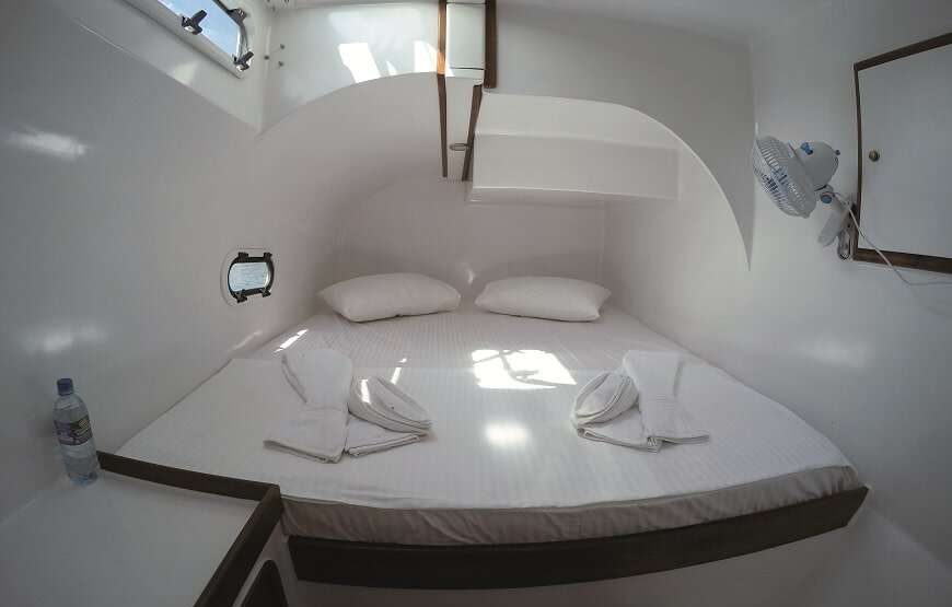 6 NIGHTS SOUTHERN COAST NATURE CRUISE