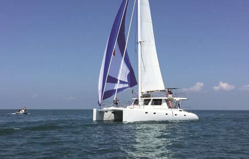 6 NIGHTS SOUTHERN COAST NATURE CRUISE