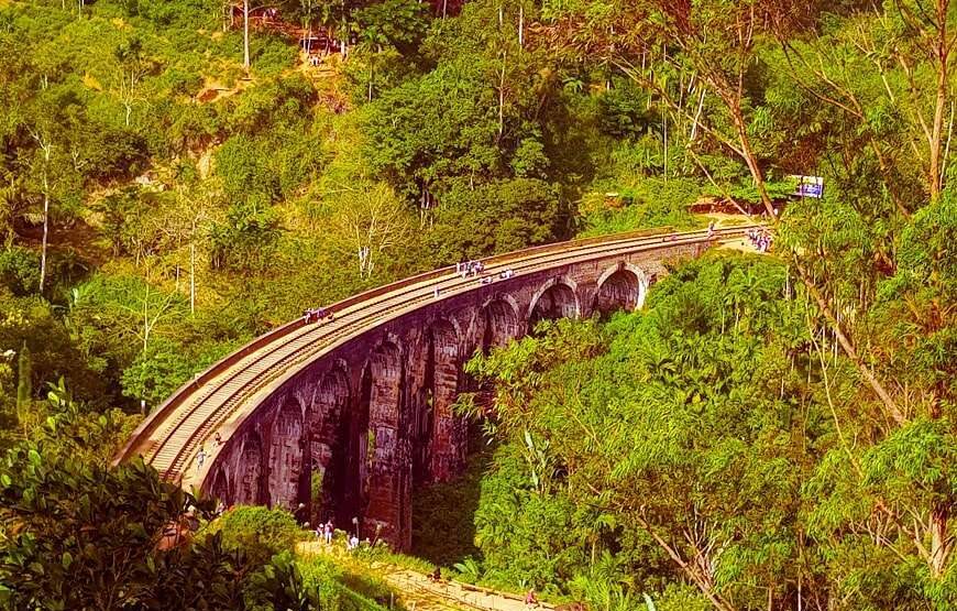 Best of Sri Lanka Tour – 7 Days