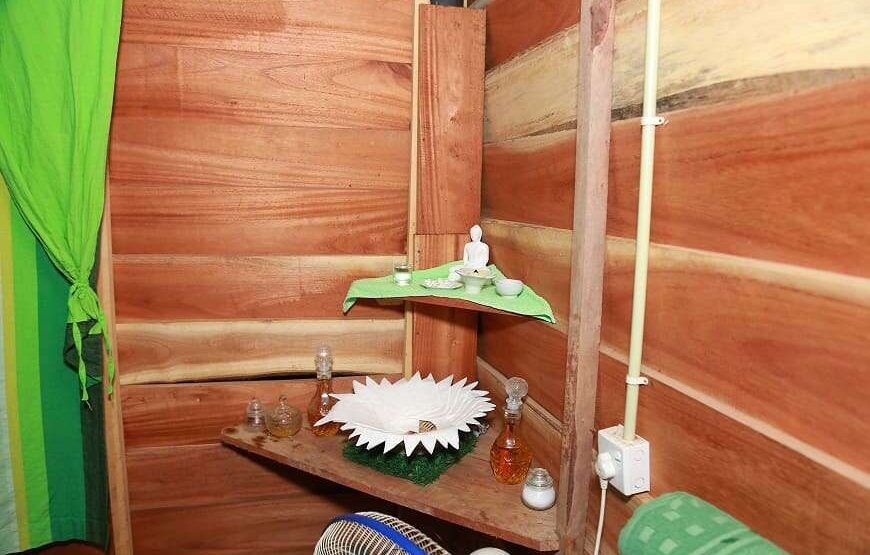 Ayurvedic Spa Treatments