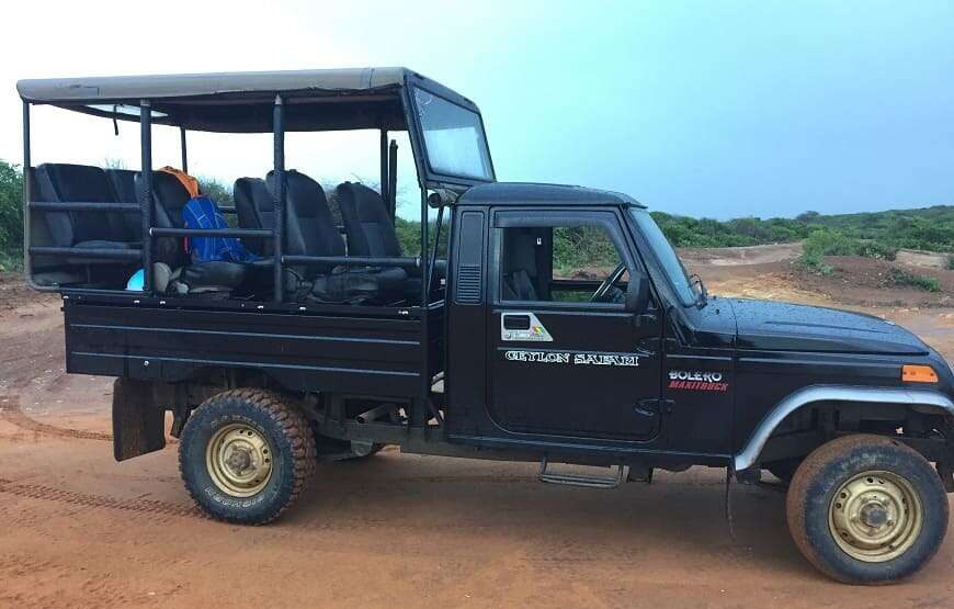 Ceylon Safari – Full Day – Yala National Park