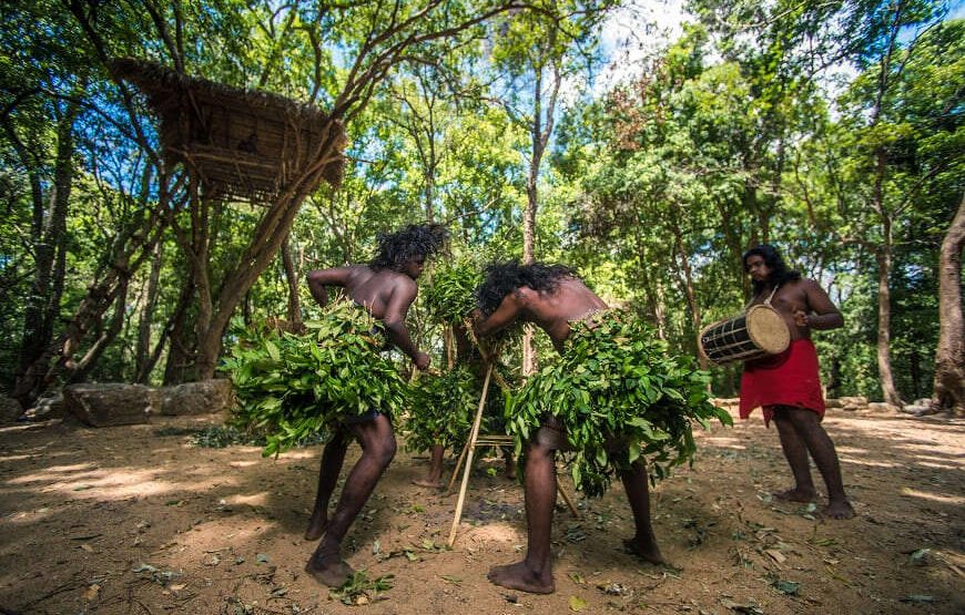 Dambana Veddah Village – Mahiyanganaya