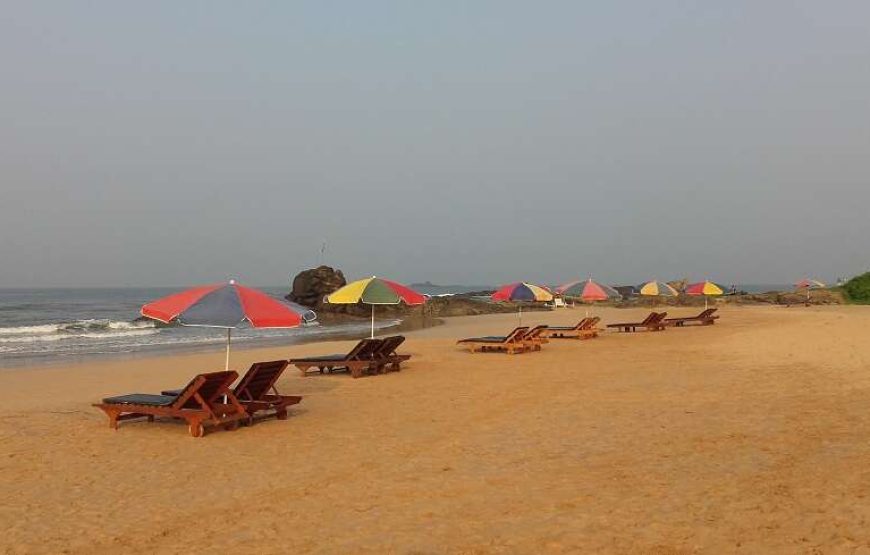 Round tour with Sri Lanka’s Top National Tour Guide: ELION GUNAWARDENA.