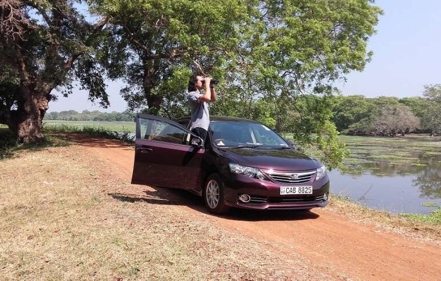 Round tour with Sri Lanka’s Top National Tour Guide: ELION GUNAWARDENA.