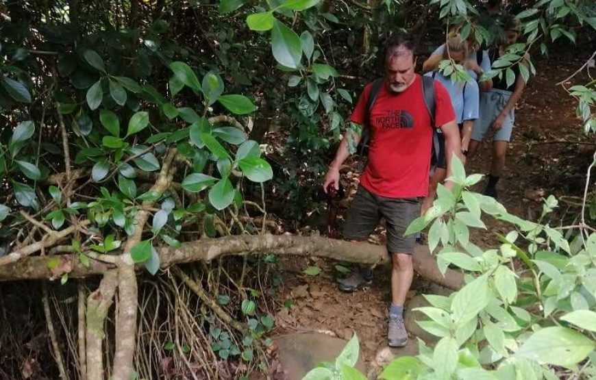 Day Hiking Tour in Hanthana Mountains Range