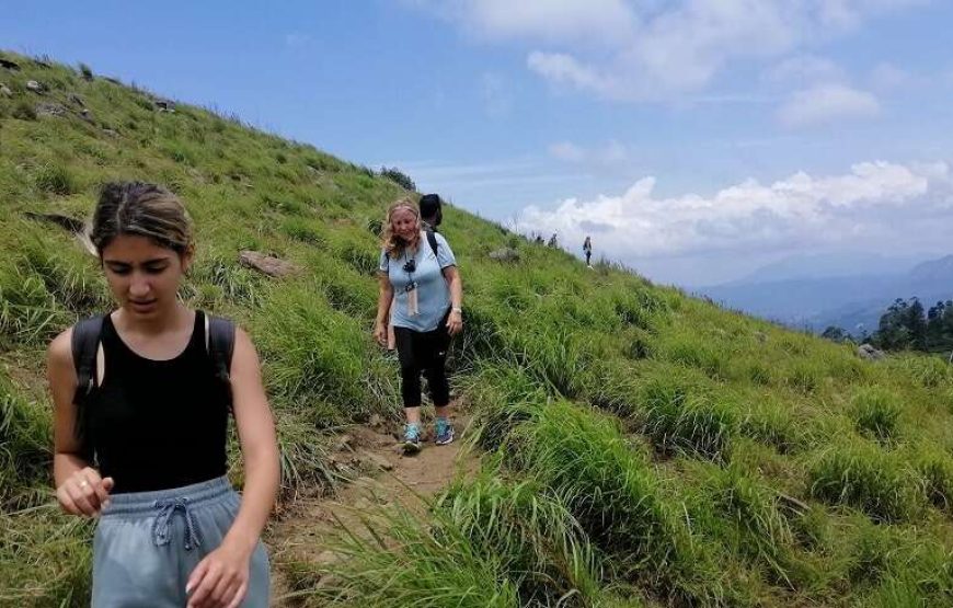 Day Hiking Tour in Hanthana Mountains Range