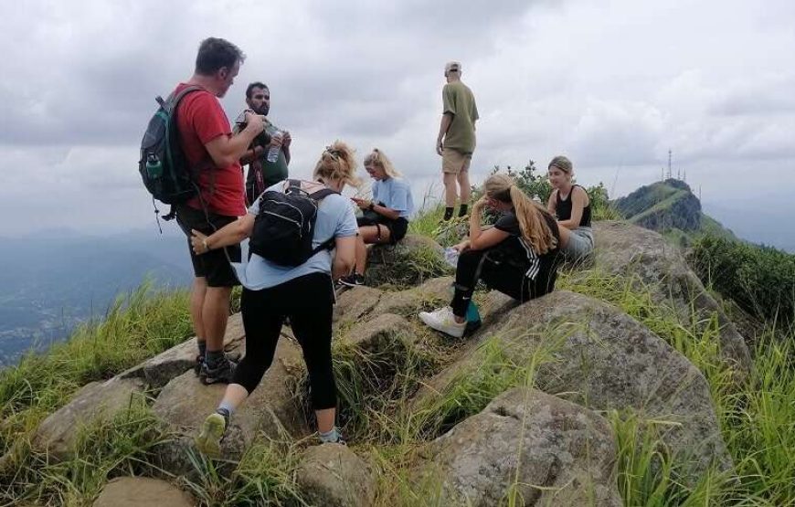 Day Hiking Tour in Hanthana Mountains Range