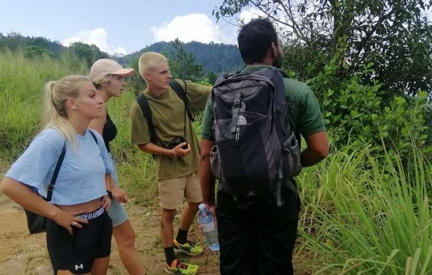 Day Hiking Tour in Hanthana Mountains Range