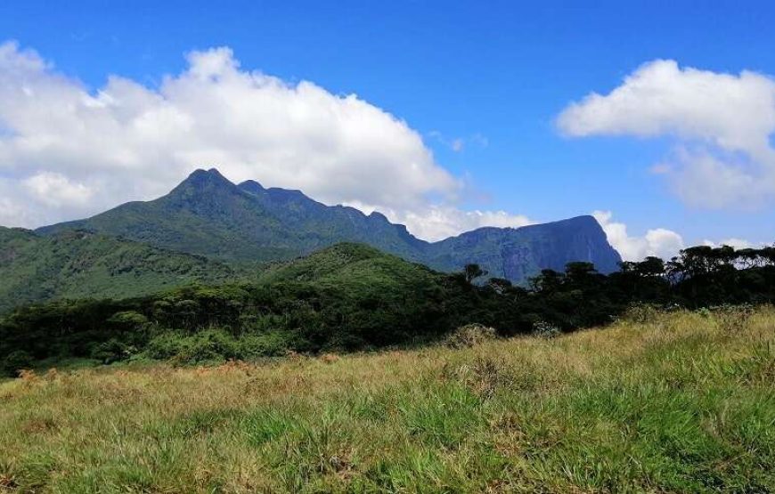 Day Hiking Tour in High Knuckles Mountains Range