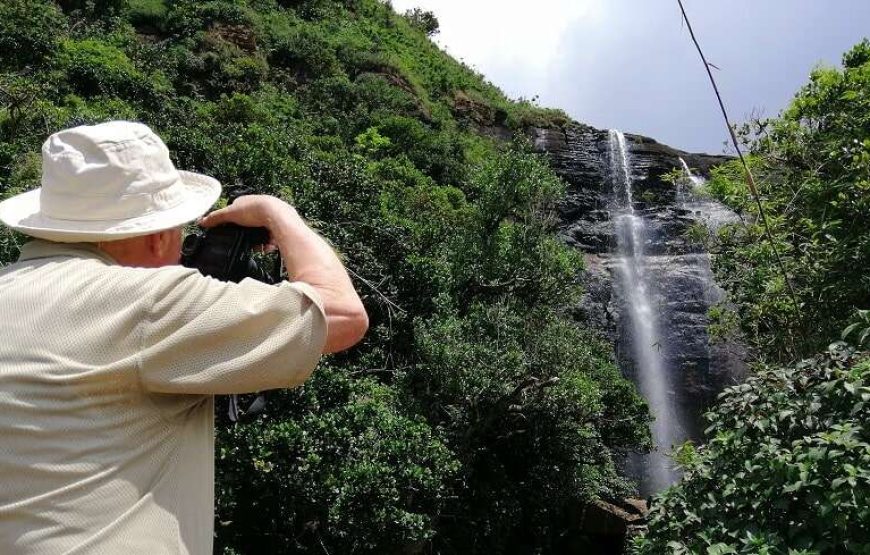 Day Hiking Tour in High Knuckles Mountains Range