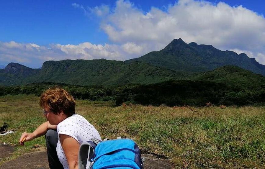 Day Hiking Tour in High Knuckles Mountains Range