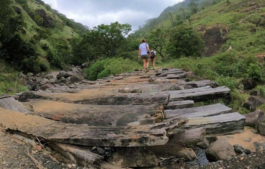 Day Trekking  in Knuckles Mountains Base Trek