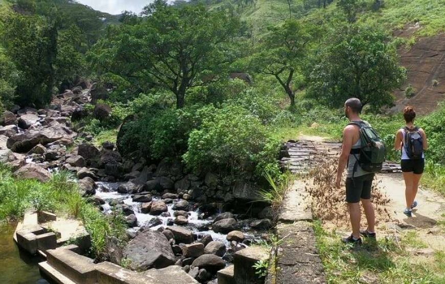 Day Trekking  in Knuckles Mountains Base Trek