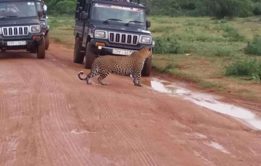 Dineth Safari – 7 Hours