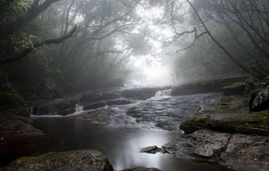 Trekking & Camping in Knuckles Mountain Range