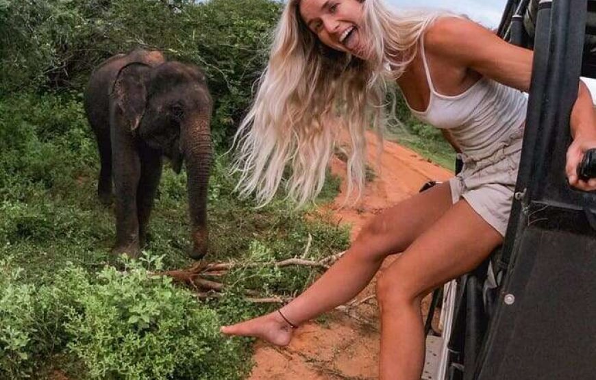 Full Day Safari Tour -Yala