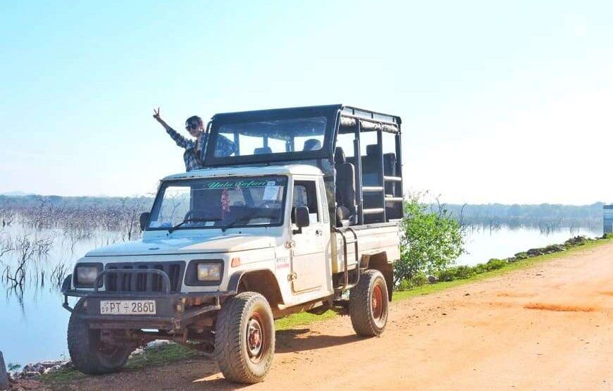 Full Day Safari Tour -Yala
