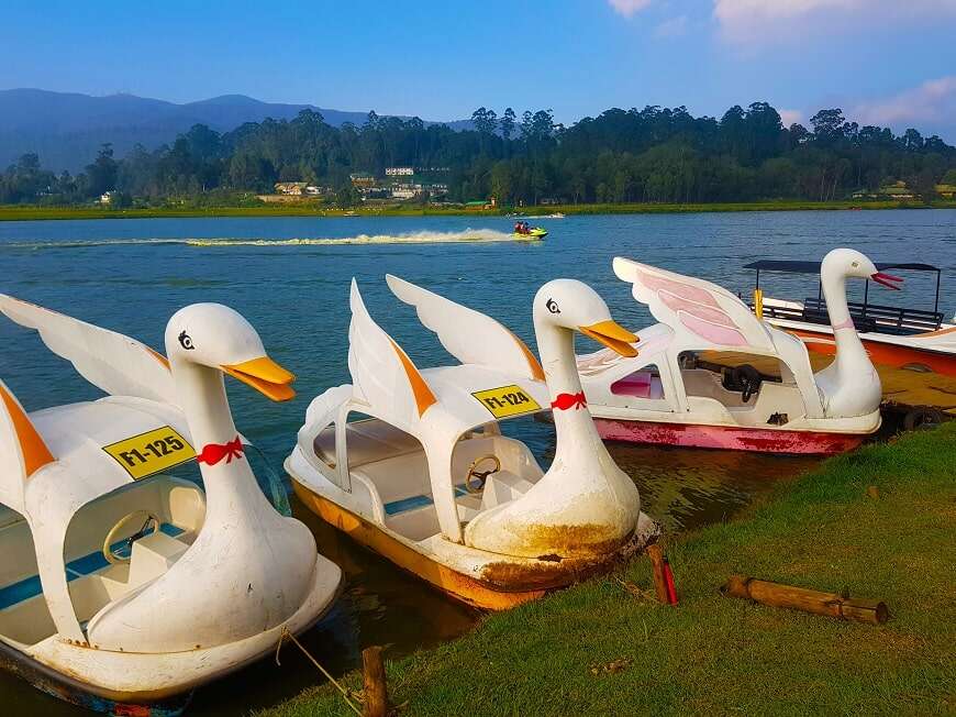 Day 6 - Kandy |  Nuwara Eliya