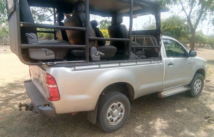 Wildlife Safari Tour