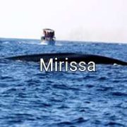 Mirissa-min