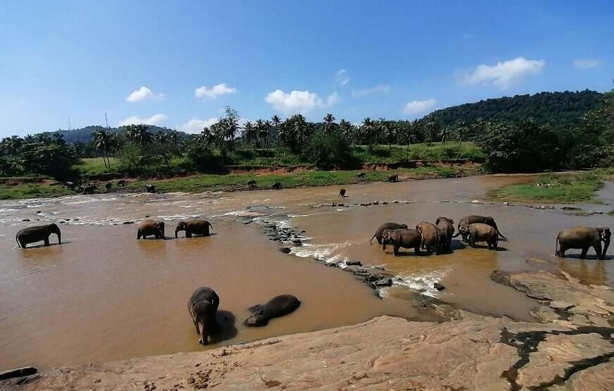 MULTI DAY TOUR – 7 DAYS