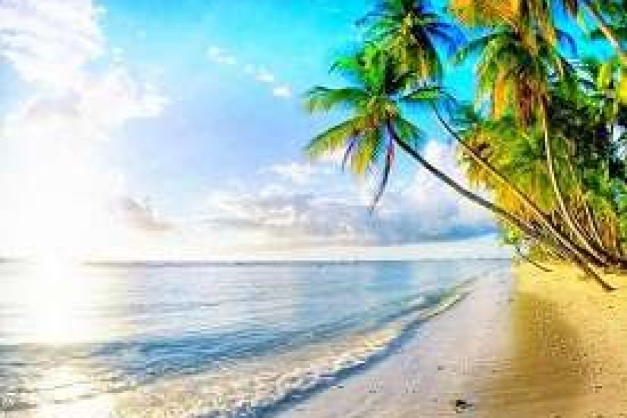 MULTI DAY TOUR – 7 DAYS