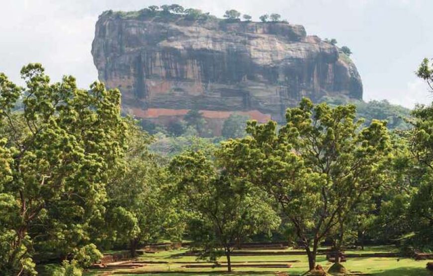 Sigiriya-Dambulla Day Tour