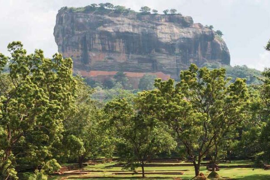 Sigiriya-Dambulla Day Tour