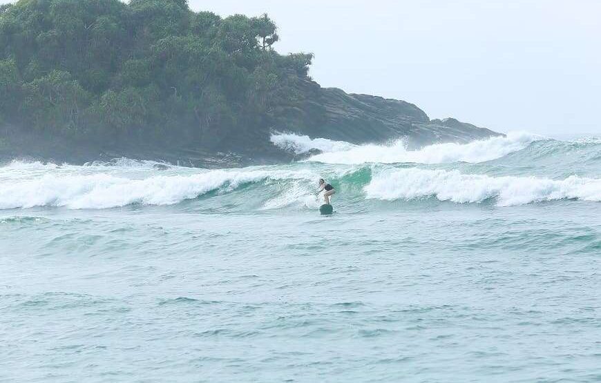 Surf Boards and Surf Lessons