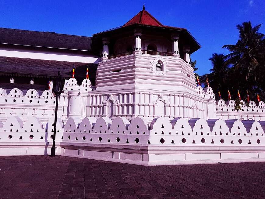 Day 5 - Dambulla | kandy