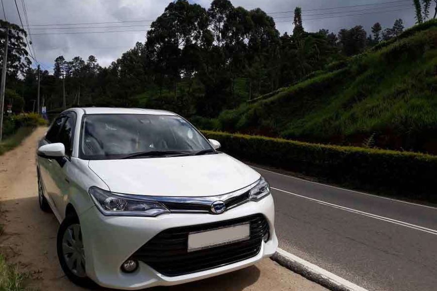 Toyota Corolla Axio Hybrid