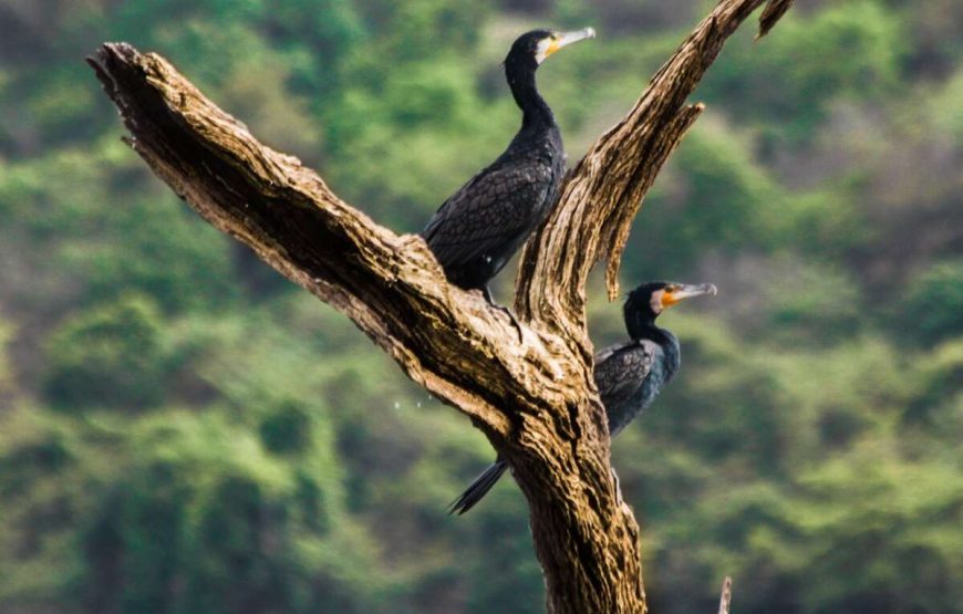 Weheragala Mountain – Hike through the Village – Mahiyangnaya