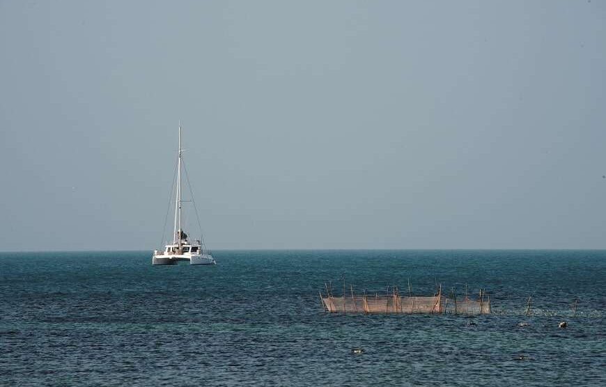 2 NIGHTS WELIGAMA WHALE CRUISE