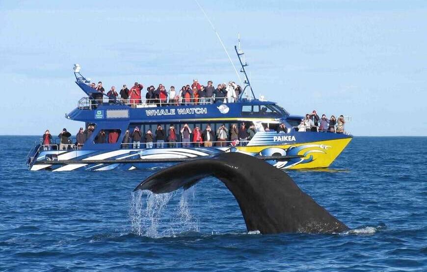 Sri Lanka UNESCO Highlights Tour