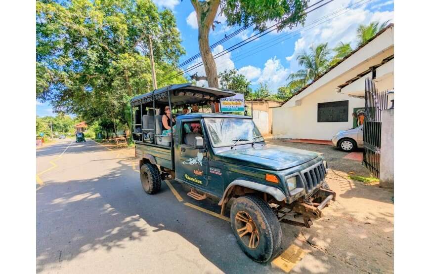 Maika Safari