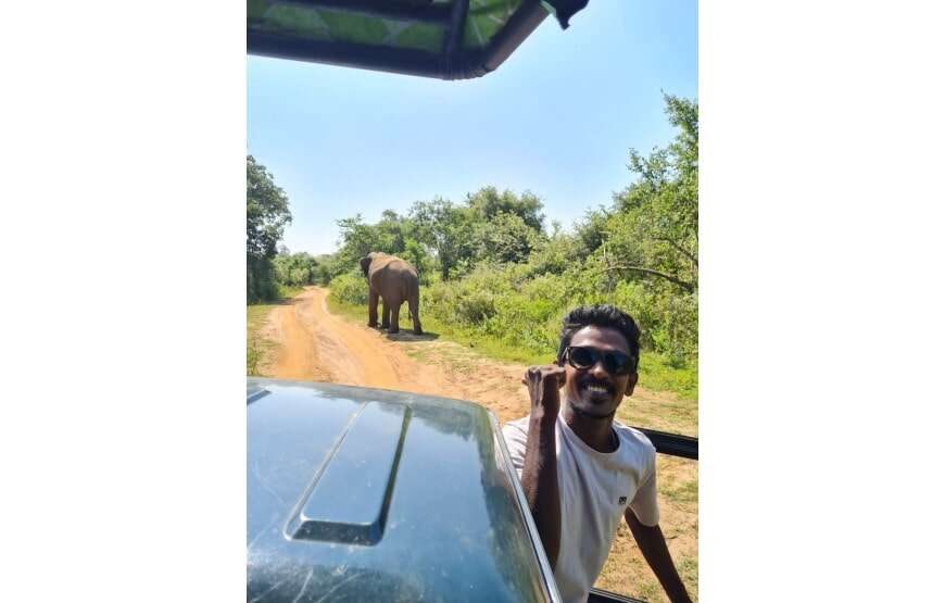 Amazing Safari (Chill House Safari Resort)