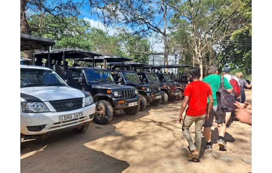Leesa Villa Safari