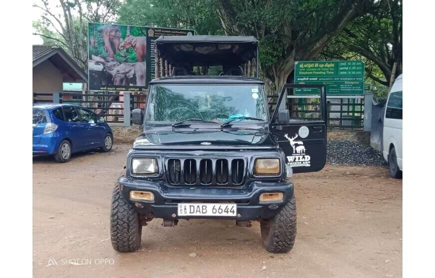 Leesa Villa Safari