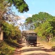 Yala-min